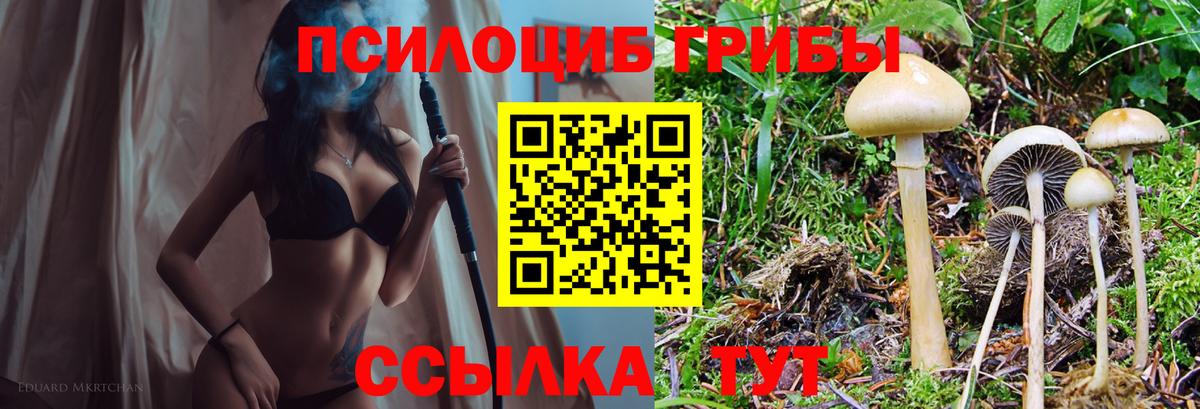 Псилоцибиновые грибы ЛСД Киржач