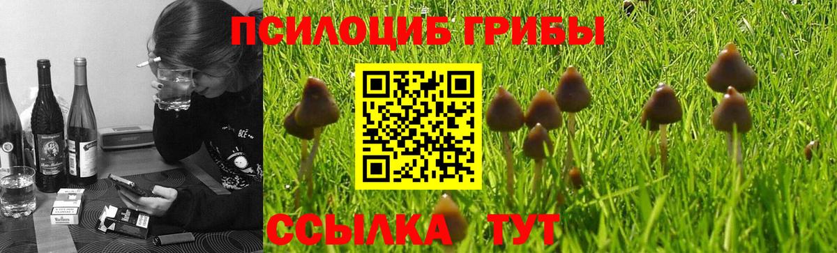 Псилоцибиновые грибы GOLDEN TEACHER  Вход с VPN  Киржач  Галлюциногенные грибы прущие грибы 